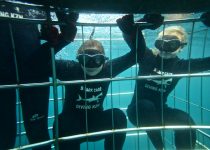 Divers in Cage – Shark Cage Diving KZN