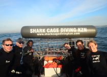 Ready to Dive! Shark Cage Diving KZN