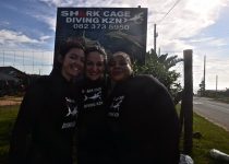 Valentine’s Dive – Shark Cage Diving KZN