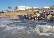Netting Sardines – Sardine Run 2018